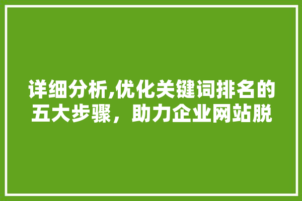 详细分析,优化关键词排名的五大步骤，助力企业网站脱颖而出 绘影字幕
