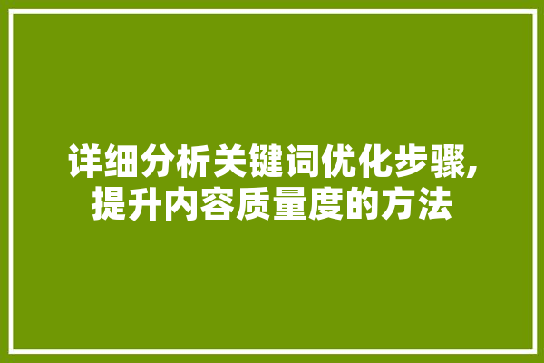 详细分析关键词优化步骤,提升内容质量度的方法