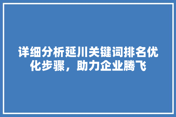 详细分析延川关键词排名优化步骤，助力企业腾飞