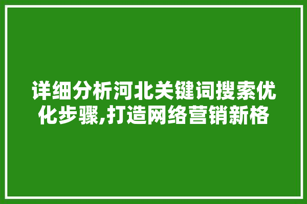 详细分析河北关键词搜索优化步骤,打造网络营销新格局