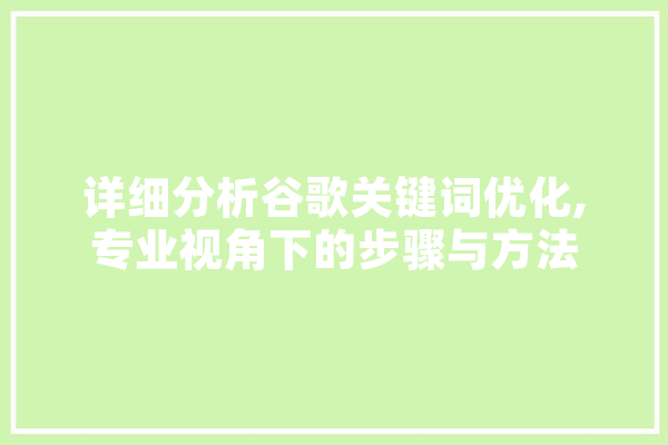 详细分析谷歌关键词优化,专业视角下的步骤与方法