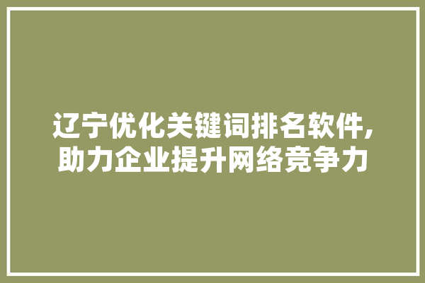辽宁优化关键词排名软件,助力企业提升网络竞争力