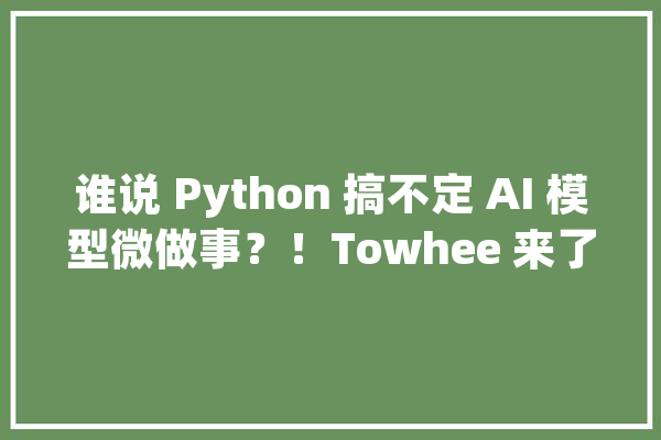 谁说 Python 搞不定 AI 模型微做事?!Towhee 来了_流水线_模子 文字写作 谁说 Python 搞不定 AI 模型微做事?!Towhee 来了_流水线_模子 文字写作