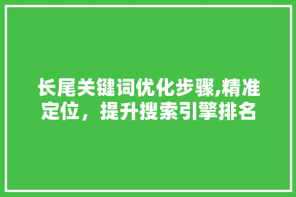 长尾关键词优化步骤,精准定位，提升搜索引擎排名 科技快讯