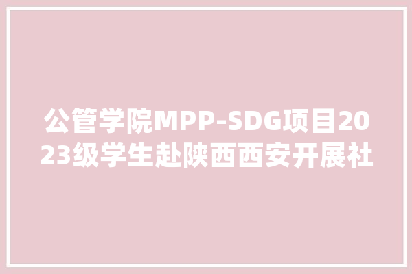 公管学院MPP-SDG项目2023级学生赴陕西西安开展社会实践_西安_科技有限公司 文字写作