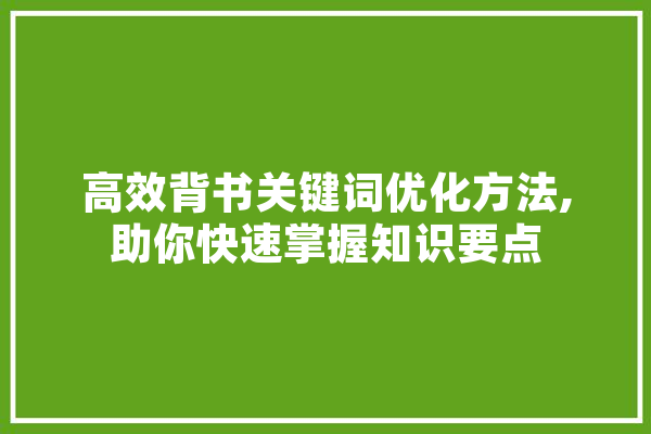 高效背书关键词优化方法,助你快速掌握知识要点