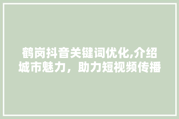 鹤岗抖音关键词优化,介绍城市魅力，助力短视频传播新篇章 计算机