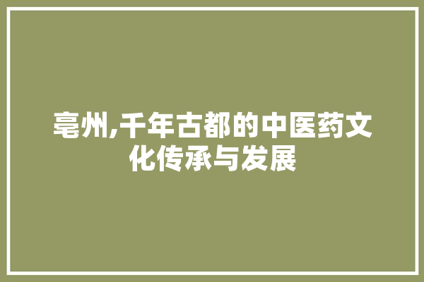 亳州,千年古都的中医药文化传承与发展