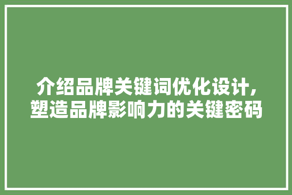 介绍品牌关键词优化设计,塑造品牌影响力的关键密码 计算机