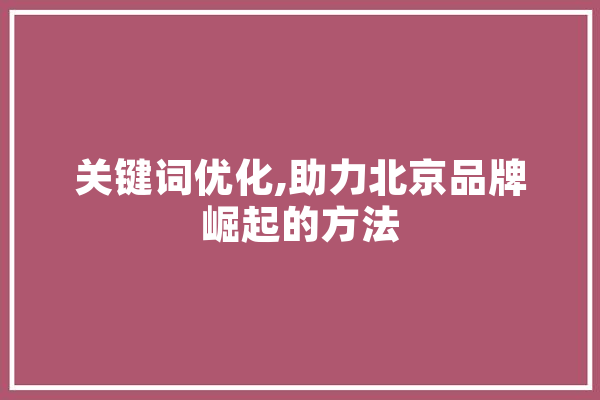 关键词优化,助力北京品牌崛起的方法
