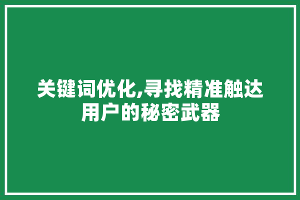 关键词优化,寻找精准触达用户的秘密武器 AI简讯