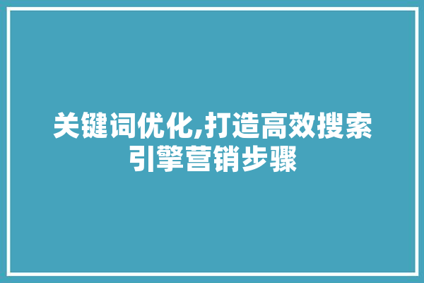 关键词优化,打造高效搜索引擎营销步骤