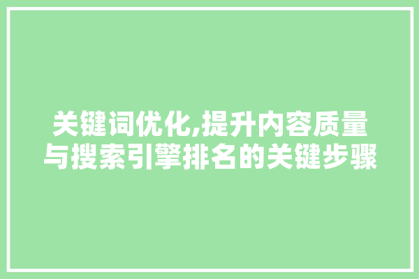 关键词优化,提升内容质量与搜索引擎排名的关键步骤 智能问答