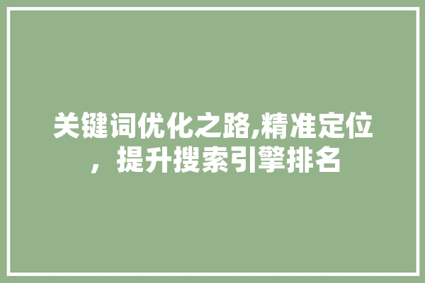 关键词优化之路,精准定位，提升搜索引擎排名 智能助手