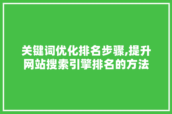 关键词优化排名步骤,提升网站搜索引擎排名的方法