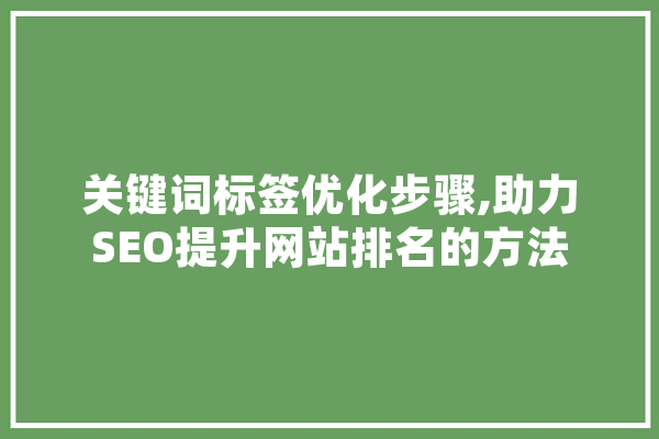 关键词标签优化步骤,助力SEO提升网站排名的方法