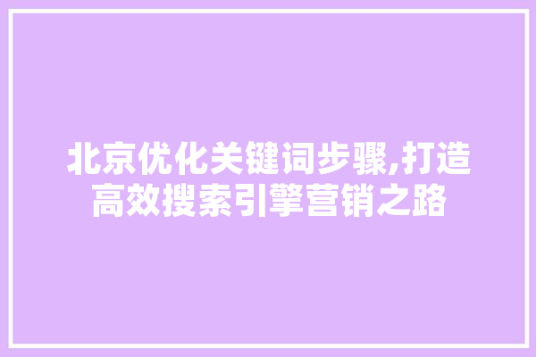 北京优化关键词步骤,打造高效搜索引擎营销之路