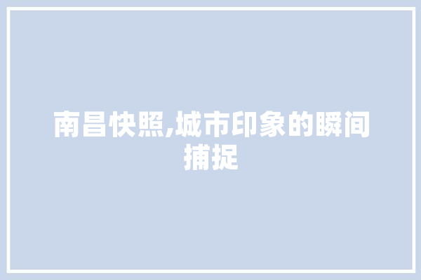 南昌快照,城市印象的瞬间捕捉 AI简讯
