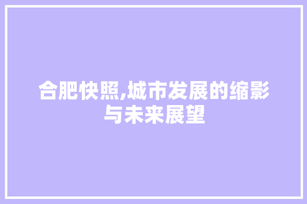 合肥快照,城市发展的缩影与未来展望