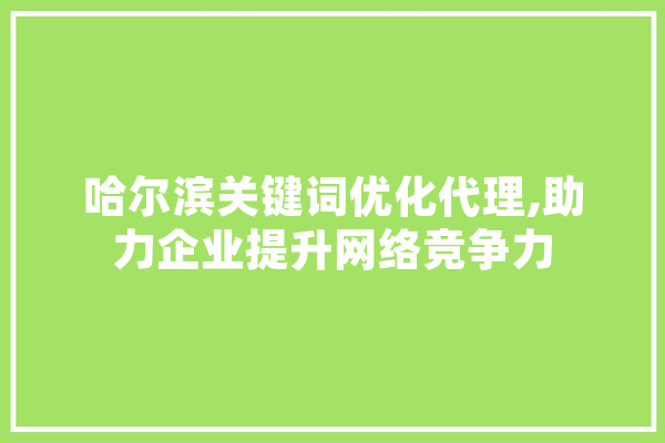 哈尔滨关键词优化代理,助力企业提升网络竞争力