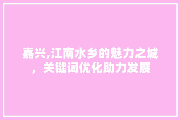 嘉兴,江南水乡的魅力之城，关键词优化助力发展