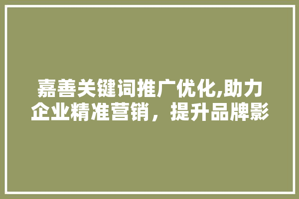 嘉善关键词推广优化,助力企业精准营销，提升品牌影响力
