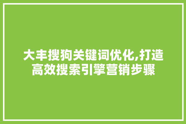 大丰搜狗关键词优化,打造高效搜索引擎营销步骤