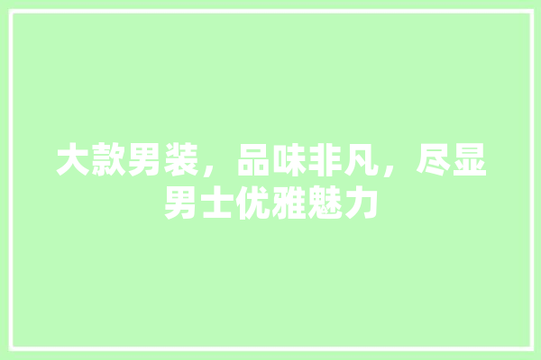 大款男装，品味非凡，尽显男士优雅魅力