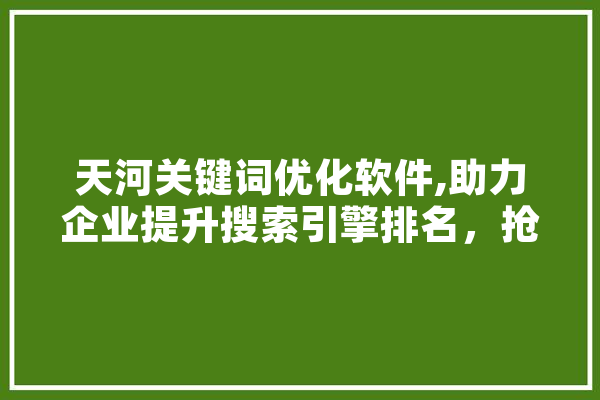 天河关键词优化软件,助力企业提升搜索引擎排名，抢占互联网市场先机