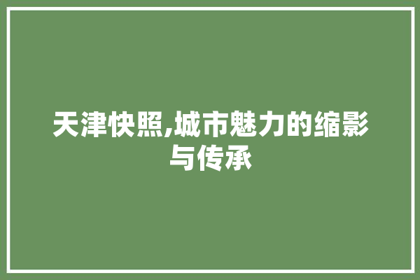 天津快照,城市魅力的缩影与传承