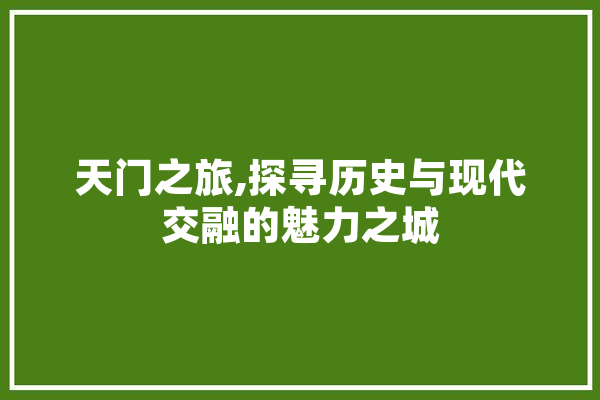 天门之旅,探寻历史与现代交融的魅力之城