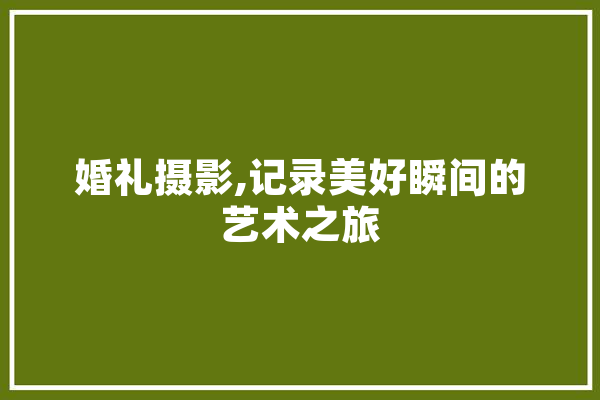 婚礼摄影,记录美好瞬间的艺术之旅