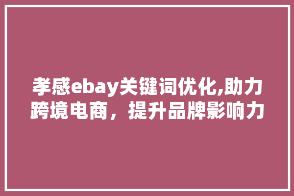孝感ebay关键词优化,助力跨境电商，提升品牌影响力