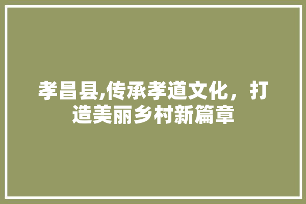 孝昌县,传承孝道文化，打造美丽乡村新篇章