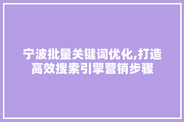 宁波批量关键词优化,打造高效搜索引擎营销步骤