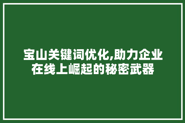 宝山关键词优化,助力企业在线上崛起的秘密武器