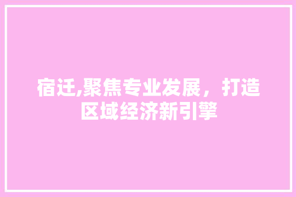 宿迁,聚焦专业发展，打造区域经济新引擎
