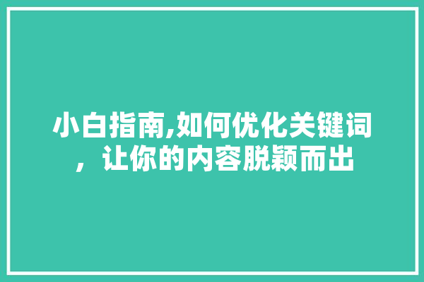 小白指南,如何优化关键词，让你的内容脱颖而出 智能问答
