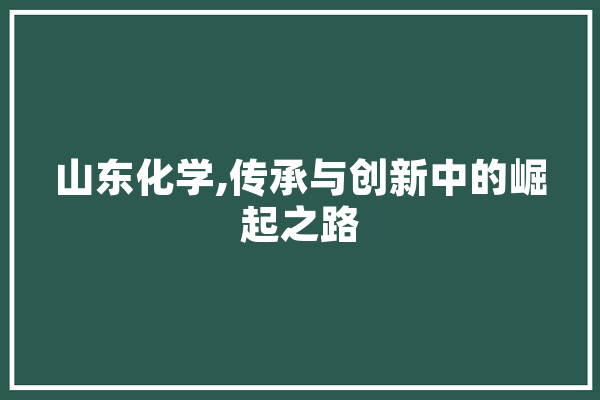 山东化学,传承与创新中的崛起之路