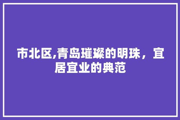 市北区,青岛璀璨的明珠，宜居宜业的典范