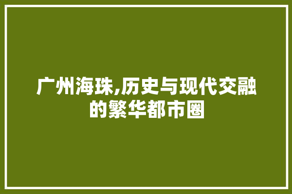 广州海珠,历史与现代交融的繁华都市圈