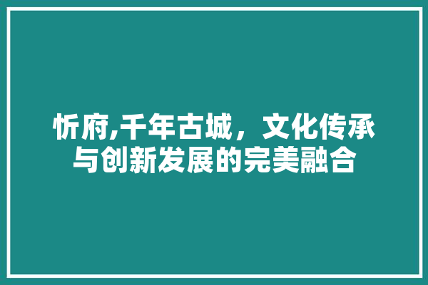 忻府,千年古城，文化传承与创新发展的完美融合