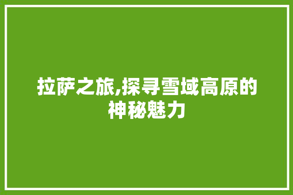 拉萨之旅,探寻雪域高原的神秘魅力