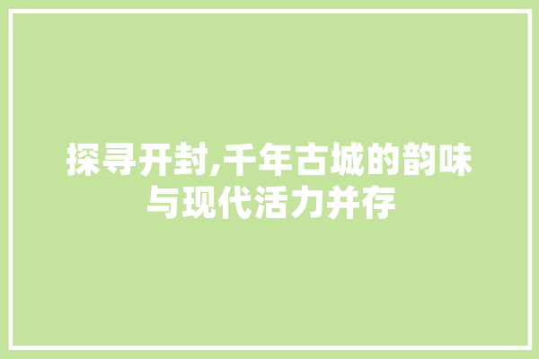 探寻开封,千年古城的韵味与现代活力并存
