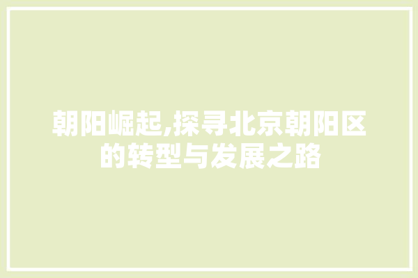 朝阳崛起,探寻北京朝阳区的转型与发展之路