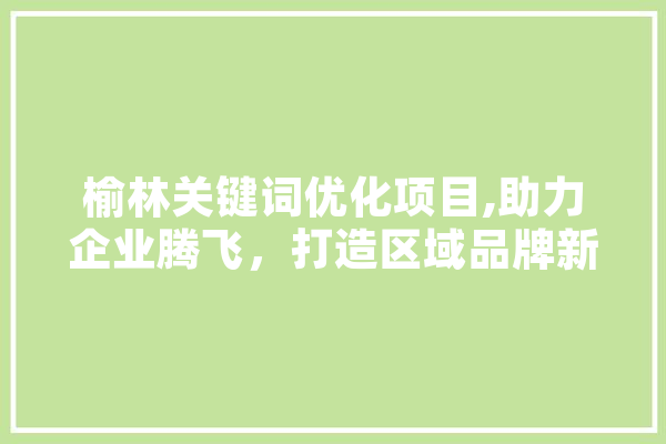 榆林关键词优化项目,助力企业腾飞，打造区域品牌新标杆