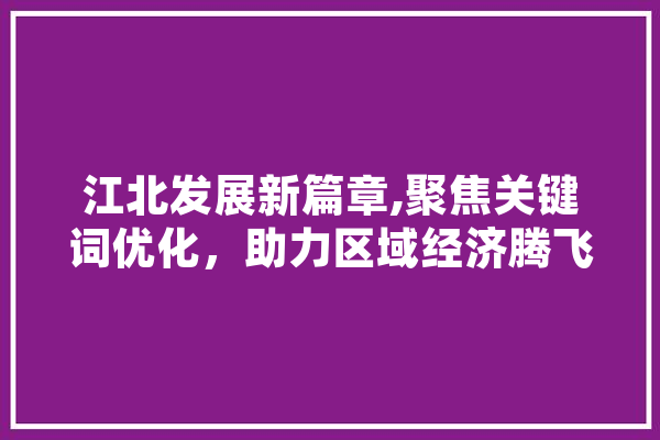 江北发展新篇章,聚焦关键词优化，助力区域经济腾飞