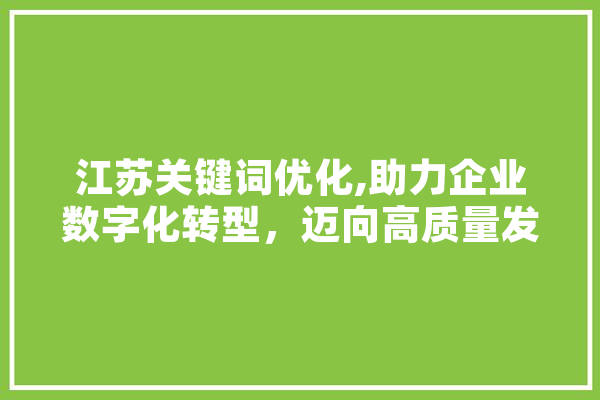 江苏关键词优化,助力企业数字化转型，迈向高质量发展新篇章 智能问答