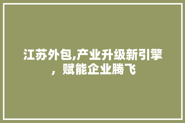 江苏外包,产业升级新引擎，赋能企业腾飞