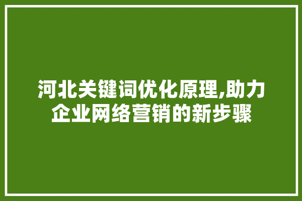 河北关键词优化原理,助力企业网络营销的新步骤 智能助手